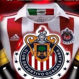 Meet your Posher, Roberto